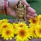 Small Brass Balaji and Venkateswara Idol Statue Gold Finished Tirupati Balaji Statues Incarnation of Lord Vishnu Sculpture Pooja Gift Living Room Mandir Decorative Showpiece
